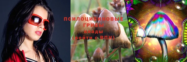 прущая мука Магадан