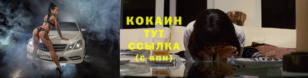 ECSTASY Магас