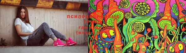 прущая мука Магадан