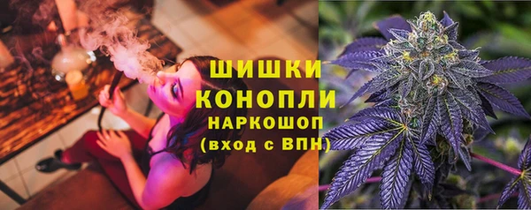 СК Липки