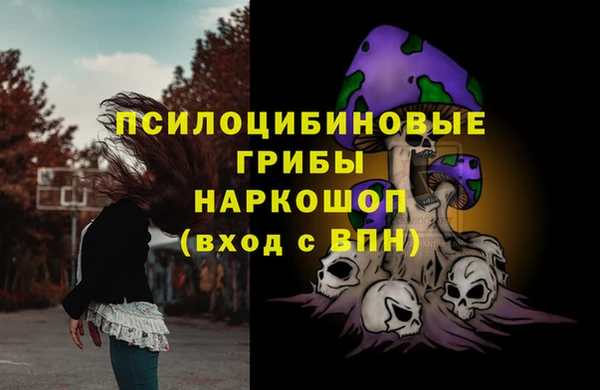 прущие грибы Майский