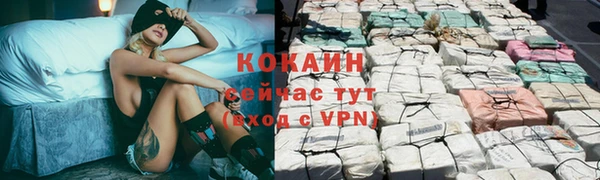 прущие грибы Майский